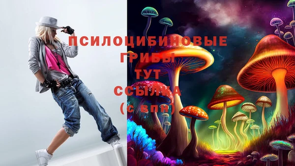 прущий лед Алексеевка